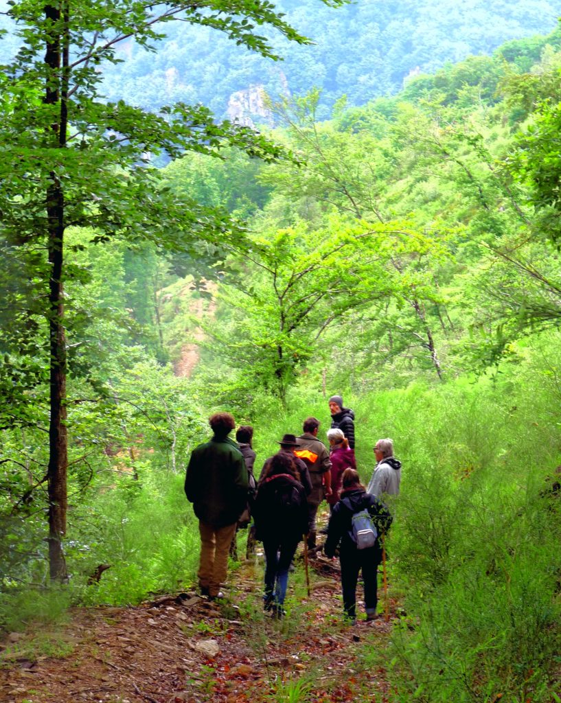 Promenons-nous dans les bois