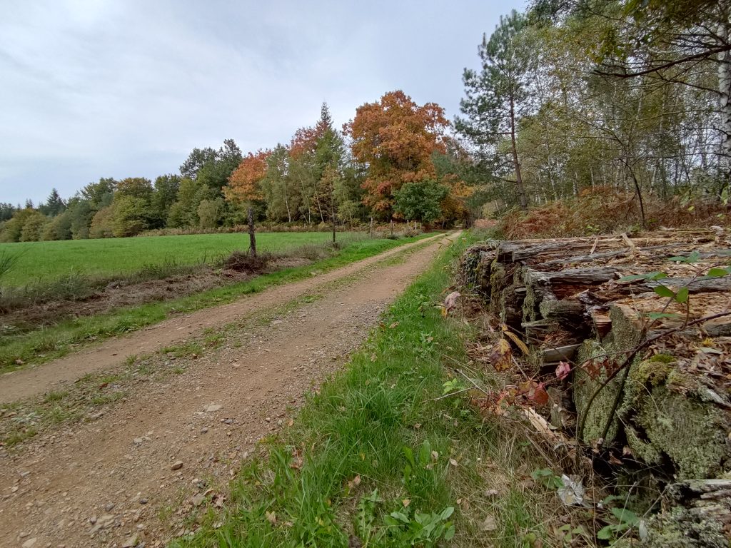 Faîte et Racines - Scierie d'Egletons